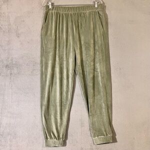 Suzette Velour Jogger Pull On Pants Soft Green Womens XL Pockets